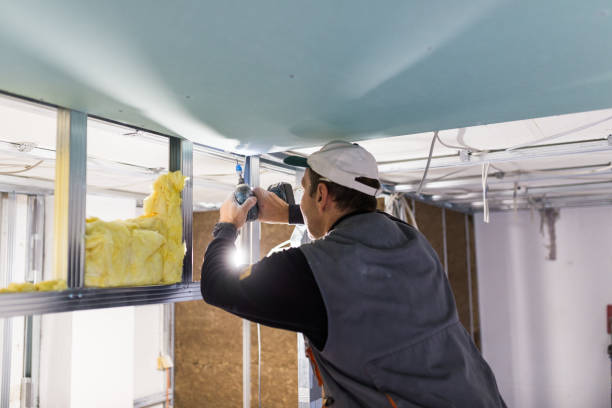 Best DIY Insulation Kits and Guidance in Fox Lake, IL