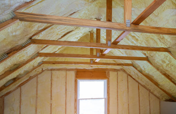 Best Eco-Friendly Insulation in Fox Lake, IL