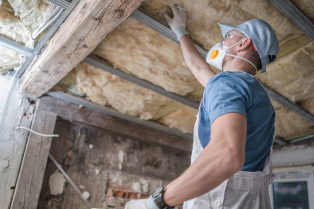 Professional Insulation Contractor in Fox Lake, IL