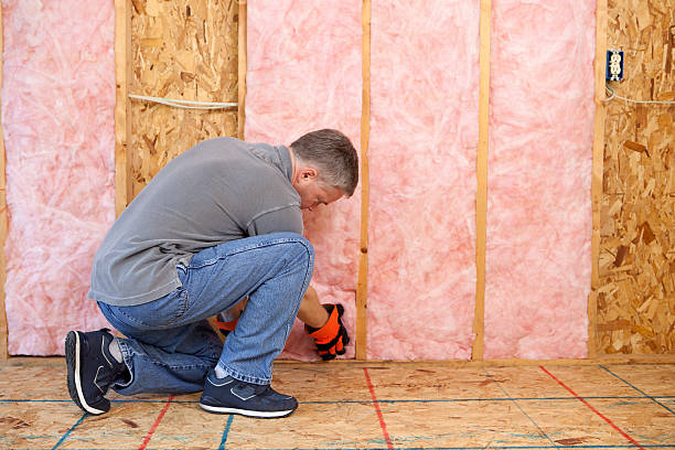 Best DIY Insulation Kits and Guidance in Fox Lake, IL