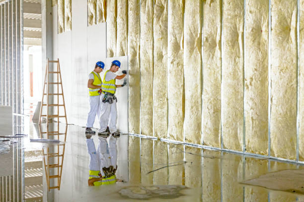 Best Cellulose Insulation in Fox Lake, IL